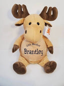 Personalized Stuffed Animal for Adoption, Sibling, Wedding, Baby Shower, Birthday, Graduation