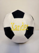 Personalized Sports Ball